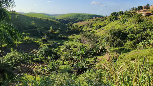 Área Rural de 9,5 Hectares à Beira de Açude — foto 3